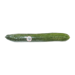 House-Cucumber-1-Ea