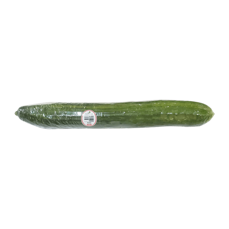 House-Cucumber-1-Ea