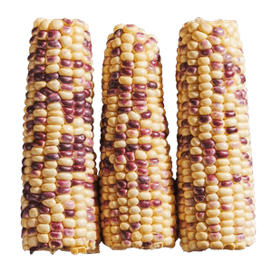 Purple Corn 3 Ea