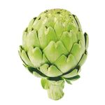 Artichoke-1-Ea