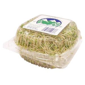 Alfafa Sprouts 1 Pack