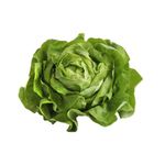 Butter-Lettuce-1-Pack