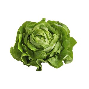 Butter Lettuce 1 Pack