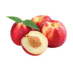 White-Nectarine-2ea