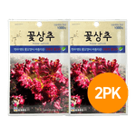 Worldseed-Endive-Lettus-Seeds--1000-ct--2-Pack