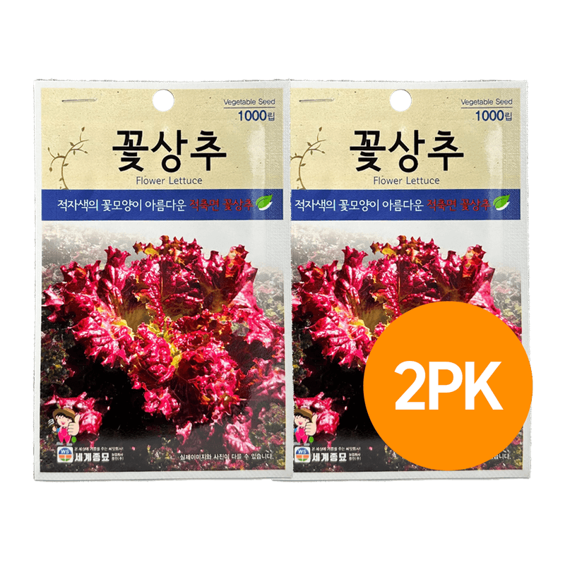 Worldseed-Endive-Lettus-Seeds--1000-ct--2-Pack