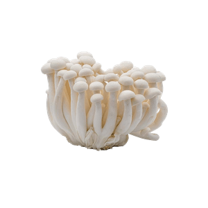 White Beech Mushroom 1 Pack