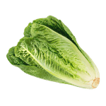 Organic-Romaine-Hearts-1pack--3ea-