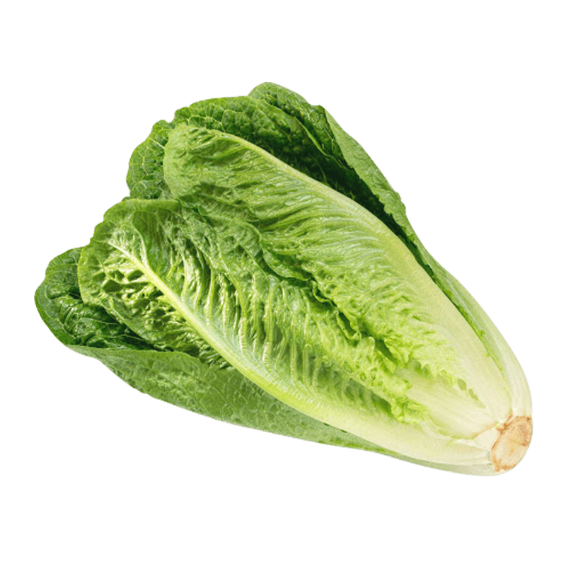 Organic-Romaine-Hearts-1pack--3ea-