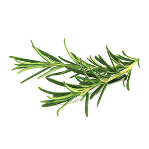 Organic Rosemary 1 Pack 0.75oz(21g)