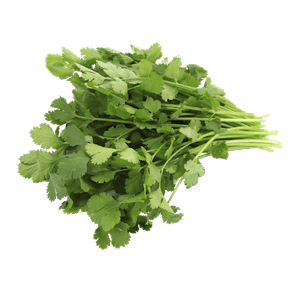 Organic Cilantro 1 Pack