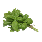 Edible-Garden-Organic-Basil-1-Pack
