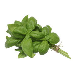 Edible Garden Organic Basil 1 Pack