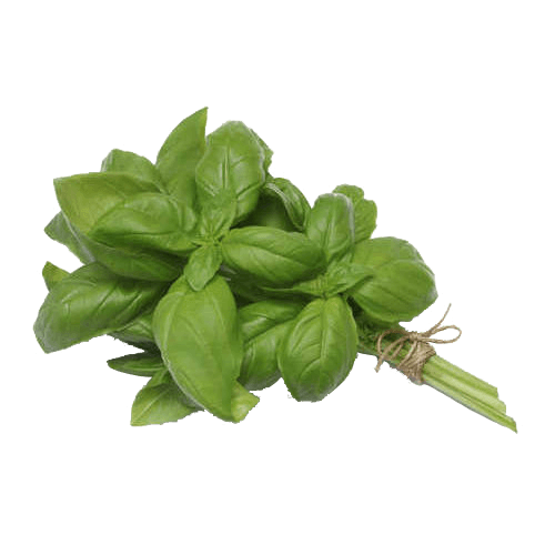 Edible-Garden-Organic-Basil-1-Pack