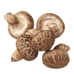 Dried-Shiitake-Whole-Mushroom-3.52oz-100g-
