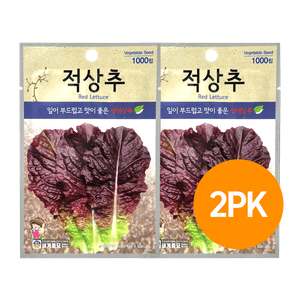 Korean Red leaf Lettus Seeds (1,000ct) 2 Pack