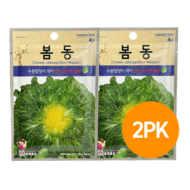 Worldseed-Bomdong--Burdock-Greens--Seeds--4g--2-Pack