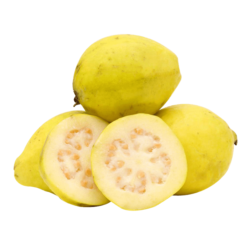 Mexican-Guava-1-Pack