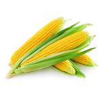 Yellow-Corn-5-Ea