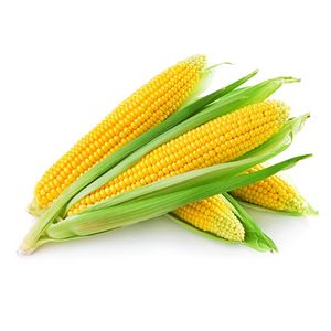 Yellow Corn 5 Ea