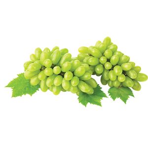 Seedless Green Grape 1bag (1.5lb)