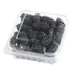 Blackberry-1-Pack-6oz-170g-