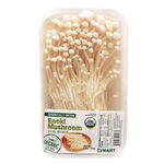 Organic-Enoki-Mushroom-1-Pack
