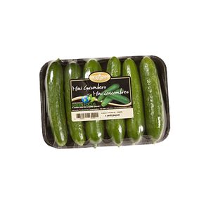 Mini Cucumbers 1 Pack