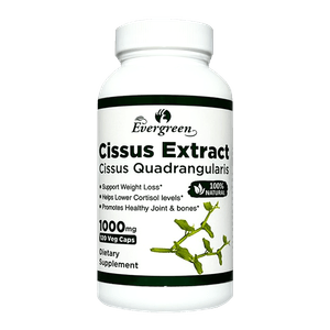 Cissus extract 500MG*120CAP