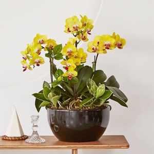 썬셋 클래식블랙 3호