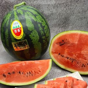 수분가득 1등급 수박 7kg