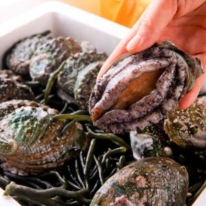 신안 활전복 (대) 1kg (11-13미)