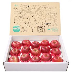 저탄소인증 프리미엄 사과 (몽실언니선물세트)