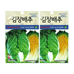 WORLDSEED-KIMCHI-CABBAGE-SEEDS--400CT--2-PACK-10세계종묘-김장배추-씨앗--400립--2팩