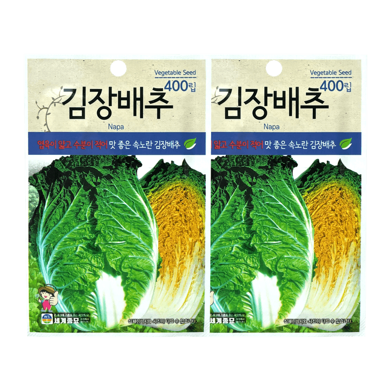 WORLDSEED-KIMCHI-CABBAGE-SEEDS--400CT--2-PACK-10세계종묘-김장배추-씨앗--400립--2팩