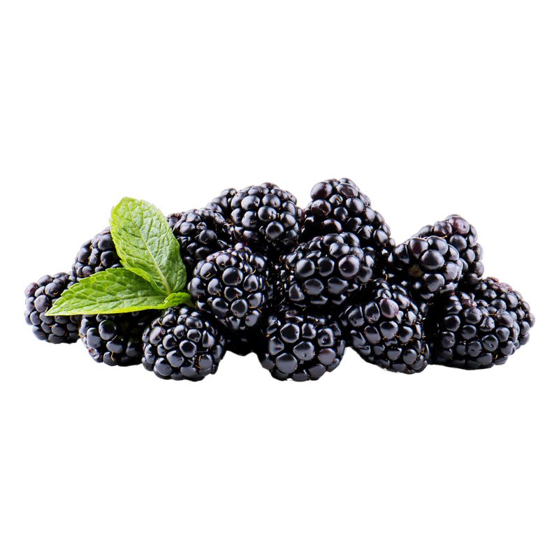 Blackberry 1 Pack 6oz(170g) - H Mart
