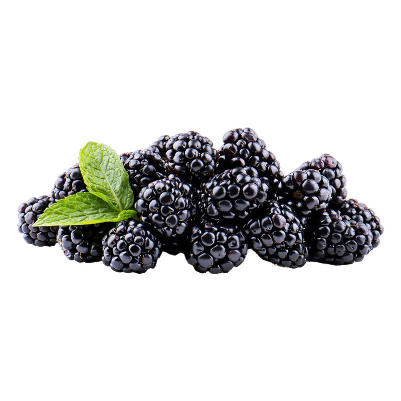 BLACKBERRY-1-PACK-6OZ-170G--1-블랙베리-1팩