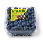 DRISCOLLS-BLUEBERRIES-1PACK-6OZ-170G--1-DRISCOLLS블루베리-1팩-6OZ-170G-