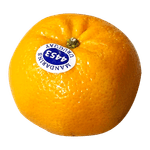 ORRI-MANDARIN-22LB-씨없는-오리-만다린-PERU