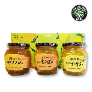 제주 자연담은 프리미엄 과실차세트