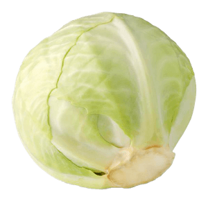 White Cabbage