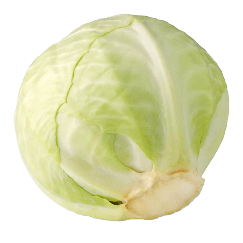 H-MART-WHITE-CABBAGE-1-H-MART흰-양배추