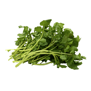 Watercress