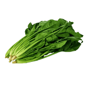 CHINESE SPINACH