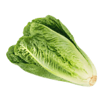 Romaine-Hearts-3ct