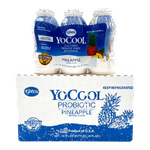 YOCOOL-PINEAPPLE-BOX-7FLOZ-207ml--x12-Bottles