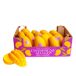 ATAULFO-MANGO-HALF-BOX-아툴포-망고-작은박스-PRODUCE-OF-MEXICO