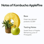 OSULLOC-KOMBUCHA-APPLE-PINE-1.76-OZ--50G--16-오설록-콤부차-애플파인