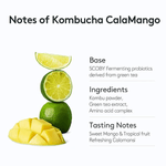 OSULLOC-KOMBUCHA-CALAMANGO-1.76-OZ--50G--16-오설록-콤부차-깔라망고