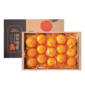 제주 천혜향 프리미엄 4.5kg (15과내외)